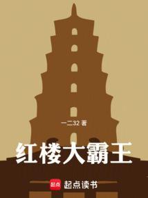 红楼大霸王 起点