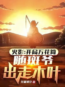 随斑爷出走木叶无防盗