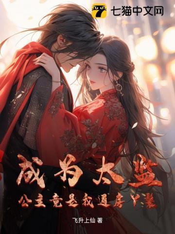 公主的太监