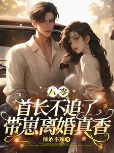 带崽离婚真香动漫剧合集