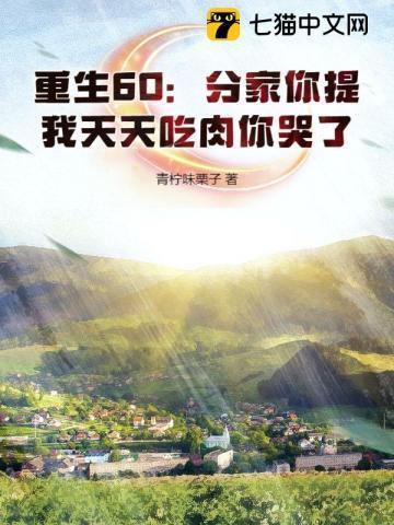 重生60分家你提