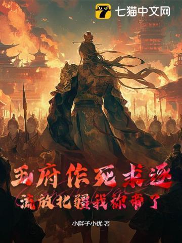 皇上派兵包围王府