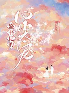 盛书记的心尖宠TXT