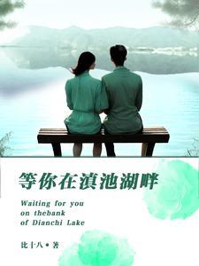 滇池湖畔的红嘴鸥