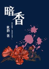 暗香的全部免费读