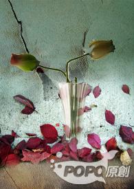 救救我的脚这篇文章有感