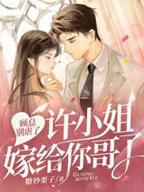许小姐嫁给你哥了 梵景熙