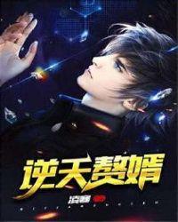 逆天豪婿