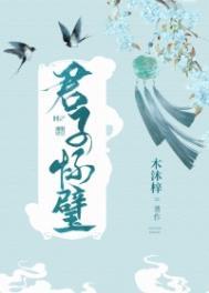君子怀璧by木沐梓晋江