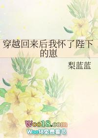 穿越回来后我怀了陛下的崽by