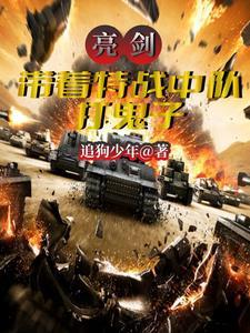 亮剑带着特战中队打鬼子371