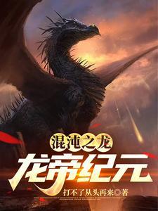 混沌帝龙的配合