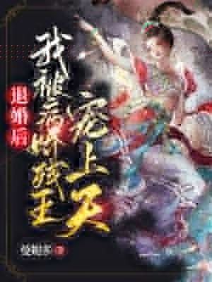 退婚后我被病娇残王宠上天百度