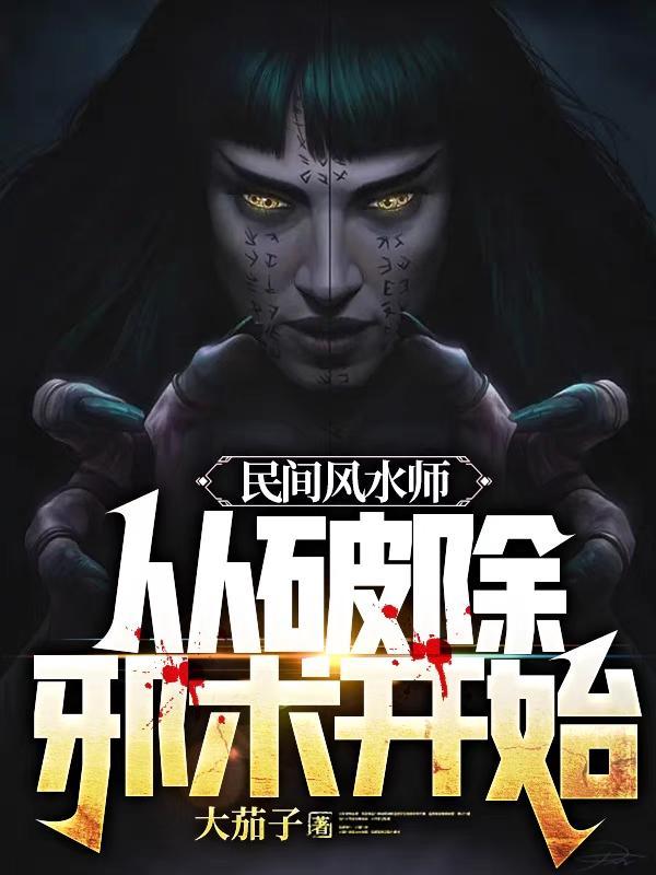 民间风水师笔记 大茄子百度百科