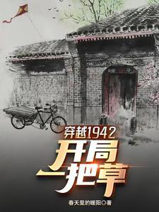 穿越1942有空间被国家照顾的