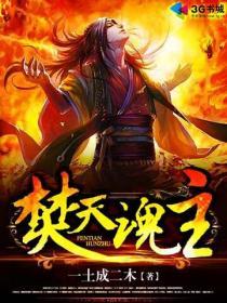 焚天战魂可以耗pp吗