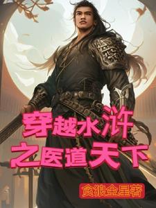 穿越水浒的医者宿金娘