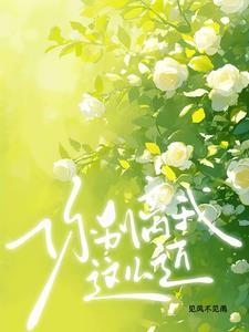 贪妄她迟放