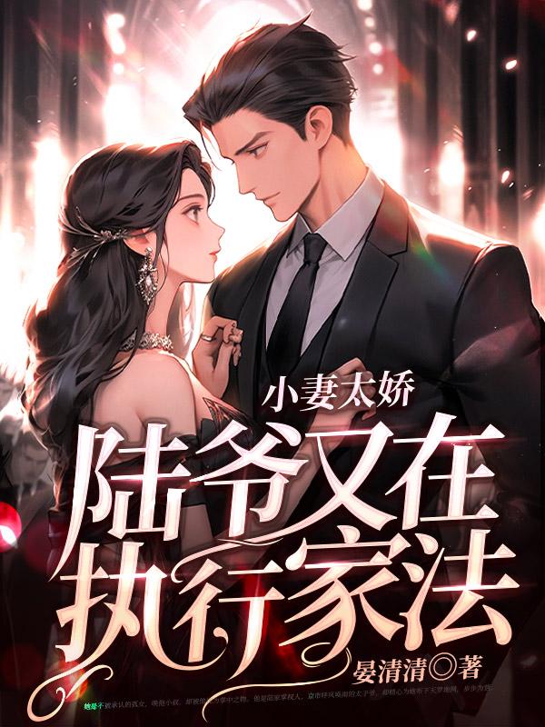 小妻好甜陆少拥入杯