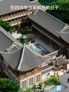在四合院当采购员的日子 作者二六吖