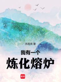 我有一个炼化熔炉林宇的
