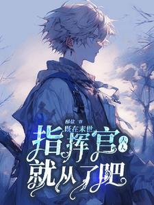 末世指挥官动漫