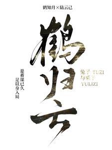 鹤归云间