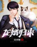 龙婿归来震八方陆大师