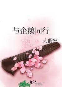 与企鹅有关的游戏