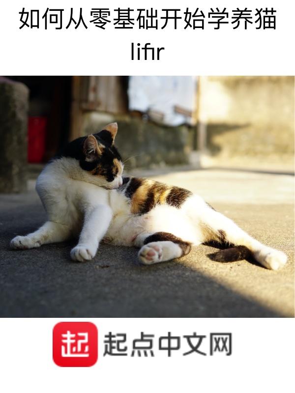 新手铲屎官必看10条入门级养猫指南