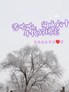 苦哈哈穿成六十年代的团宠 夜晚会有光