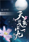 天医凤九简介内容