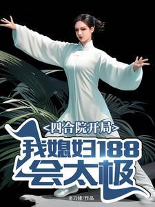 四合院开局我媳妇188会太极主要讲的什么内容