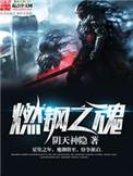 燃钢之魂精校版TXT