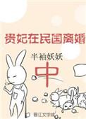 贵妃民国离婚中免费