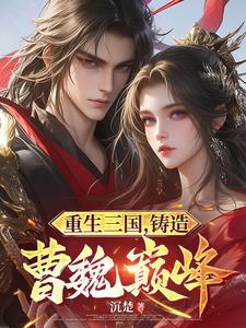 重生三国家兄孟德最新章节更新时间与评价与反馈