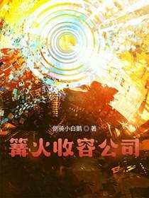 篝火价格