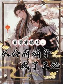 直男穿越后从公府嫡子成了王妃