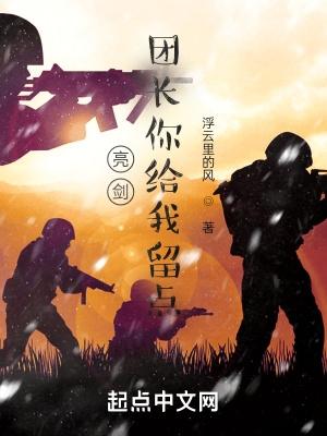 亮剑团长你给我留点 全文阅读