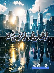 暗刃20集