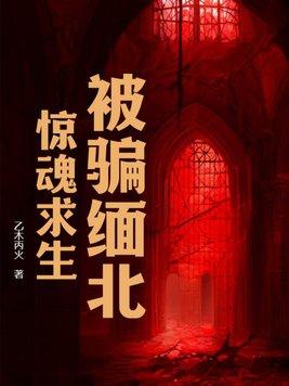 缅北陷阱