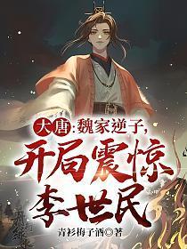 开局震惊李世民 青衫梅子酒
