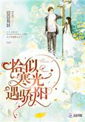 恰似寒光遇骄阳资源